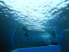 Dscf0796
