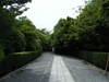 Dscf7088